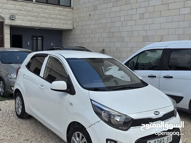 Used Kia Picanto in Jenin