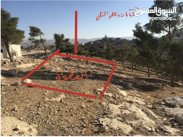 ارض للبيع عمان شارع الاردن تقاطع شارع الاردن مع شارع عمان-جرش الرئيسي ملاصقه لغابات وصفي التل
