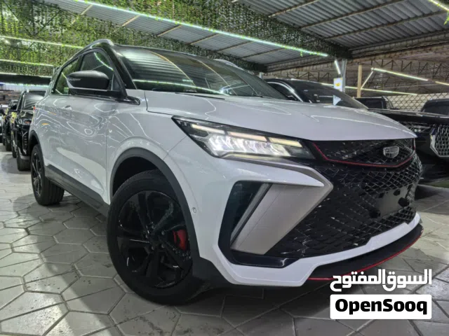 2026 جيلي كول راي Standard