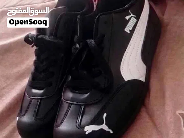 بوت بومه الاصلي