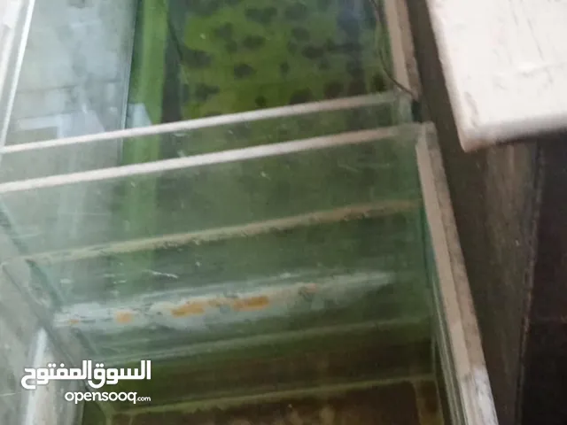 احواض سمك سكريت 10 ملم اربد شارع بلاط الشهداء أبو إبراهيم