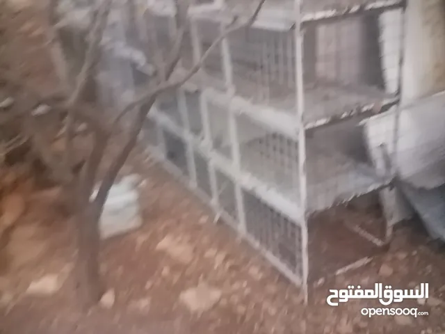 قنون حمام 16 خانه للبيع تفصيل حديد ثقيل تيوبات
