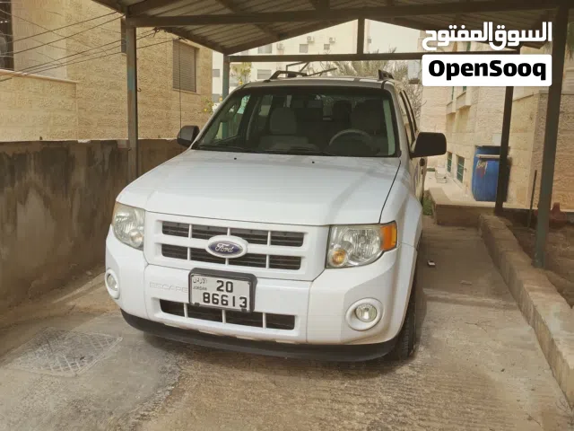 2011, فورد, اسكايب, Standard