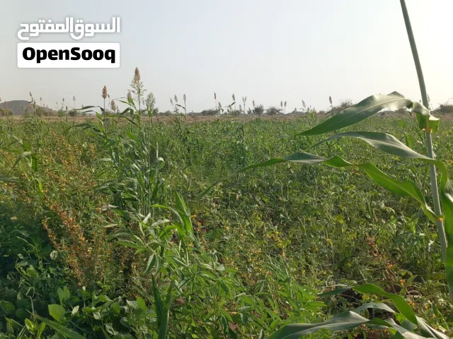 فرصة استثمارية لمشروع مدروسه وناجحه باذن الله م