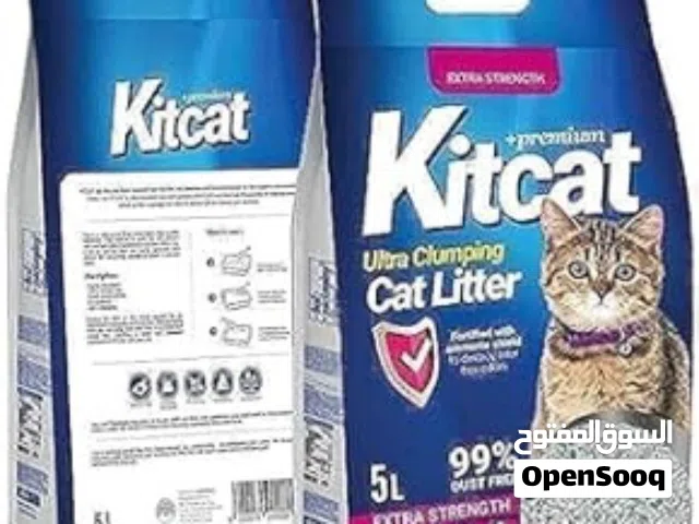 رمل قطط ( كسين ) kitkat