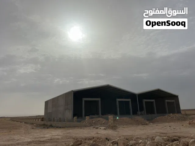 مخازن للايجار علي الطريق الرئيسيه مقابل الڤلل الصينيه علي مساحه 1200متر