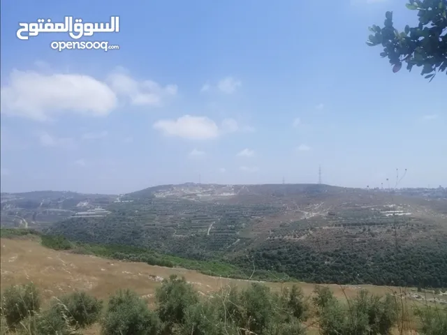 70 m2 1 Bedroom Apartments for Rent in Sidon Other