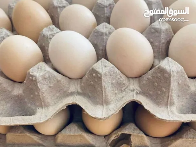 بيض عماني للبيع 15 حبه بريال 30 حبه ريالين السويق الصبيخي