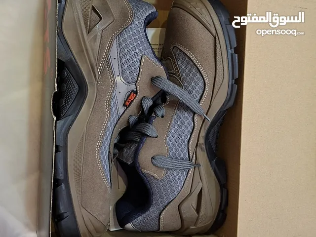 41 Others in Northern Governorate