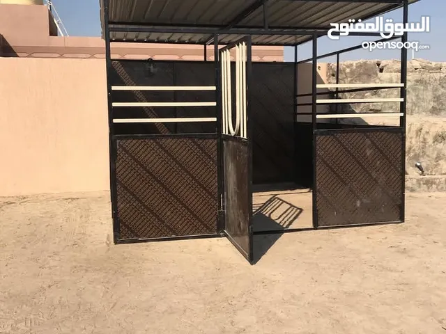 تفصال ‏بناجر ‏ الخيل