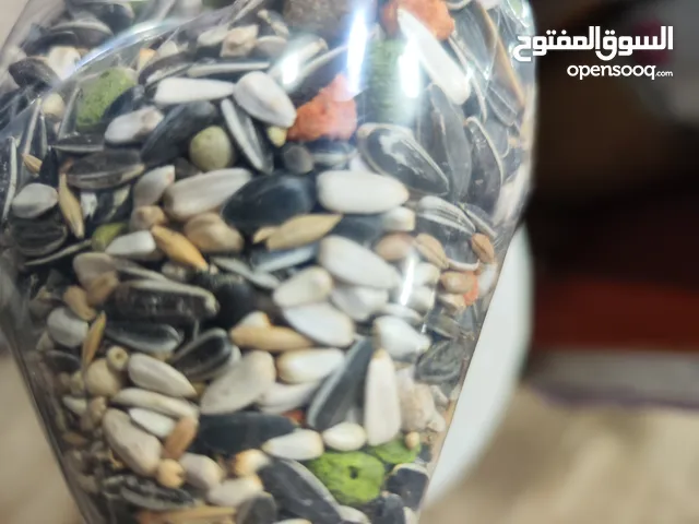 خلطة لكل انواع الطيور كمكل غذائي يومي لإستكمال الاملاح والمعادن والمواد المغذية الضرورية لصحة الطير