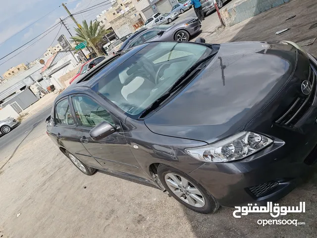 Used Toyota Corolla in Amman