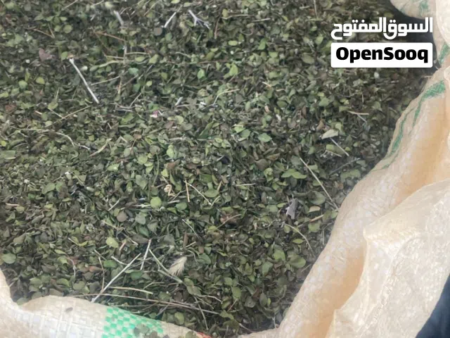 زعتر عماني جبلي انتاج السنه جونية كبيره سبوس 700