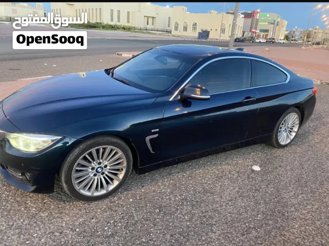 2014 بي ام دبليو اخرى