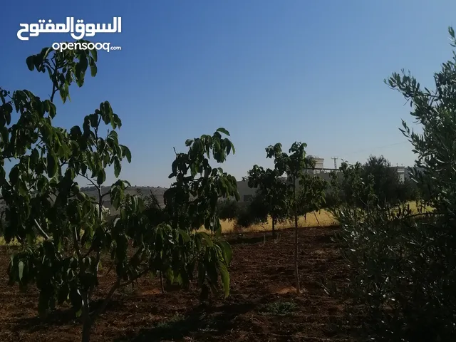 2 Bedrooms Farms for Sale in Jerash Marsa'