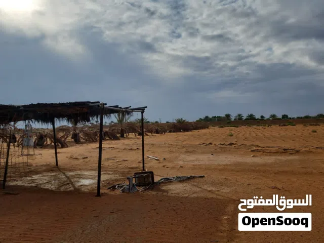 Farm Land for Sale in Ras Al Khaimah Other