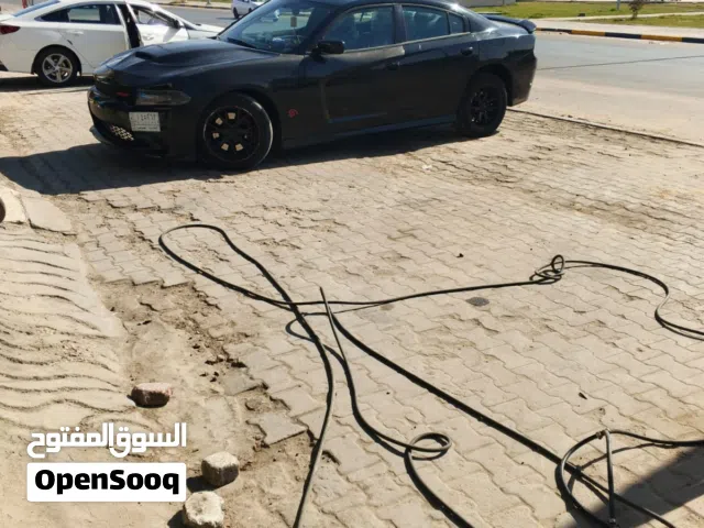 السلام عليكم ورحمة الله وبركاته جرجر للبيع ابسعار 150ورقه وبيها مجال