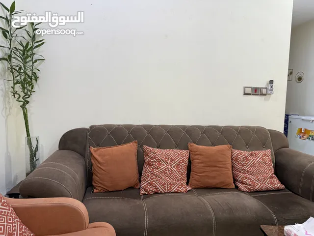 تخم تركي استعمال نظيف للبيع مع كوشات