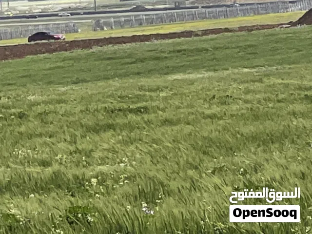 جنوب عمان نتل 4 دونم جاهزة لمزرعة