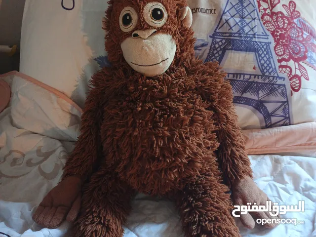 قرد بني(مشهور)،دب ابيض جميل،دب بني صغير،للبيع،حصري.