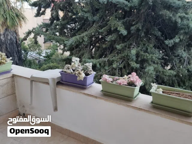 شقه فارغه غربيه بالرابيه للايجارمقابل حديقه الاميره ايمان