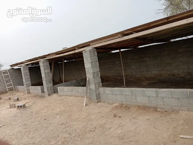 Mosque Land for Rent in Al Batinah Al Masnaah