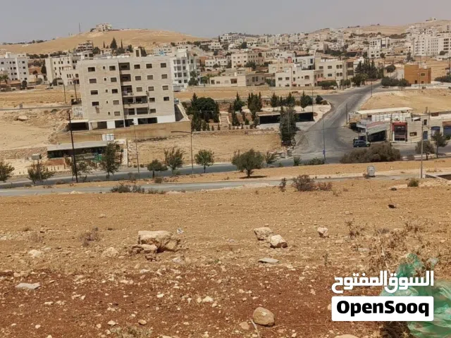 Residential Land for Sale in Amman Shafa Badran