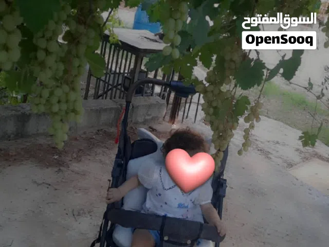 عربايه شارع