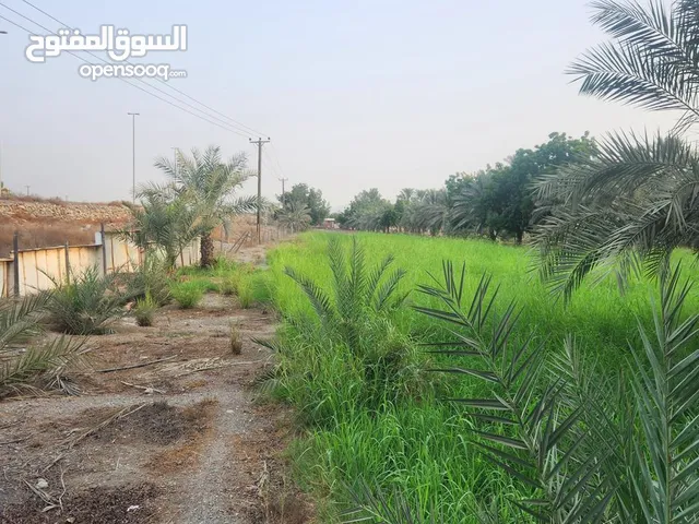 Farm Land for Sale in Fujairah Other