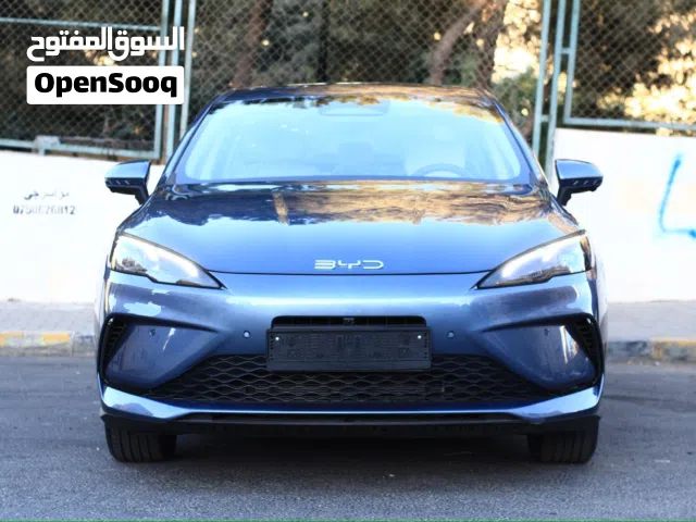 2025, بي واي دي, سيل