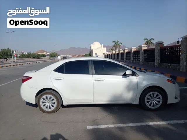 تويوتا 2019 LE