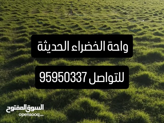 العشب الطبيعي الجوده العالية يتحمل الملوحه