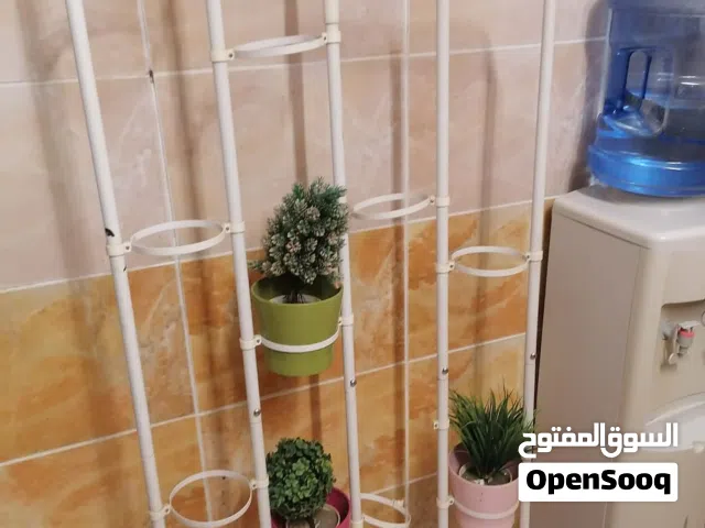 ستاند زريعه