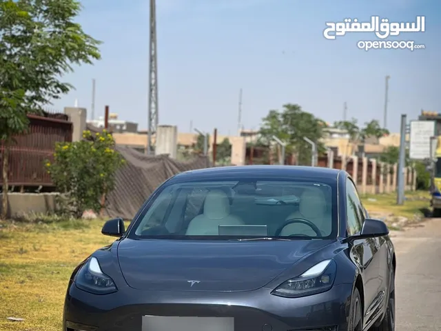 Tesla Model 3 (2023)