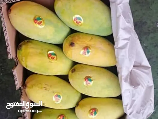 Sindhri mangoes