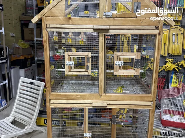 عصافير كنار وكوكتيل