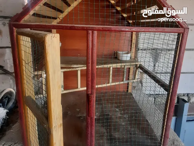 قفص طيور لجميع الطيور جديد مستخدم قليل