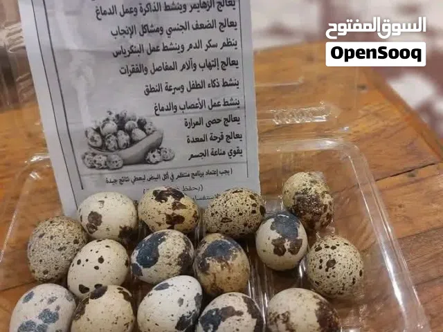 بيض سمان جامبو 80 بلميه مخصب للبيع