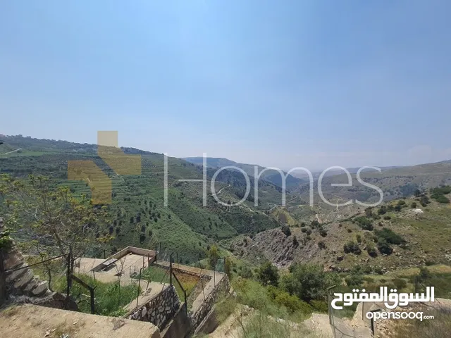 Residential Land for Sale in Amman Marj El Hamam