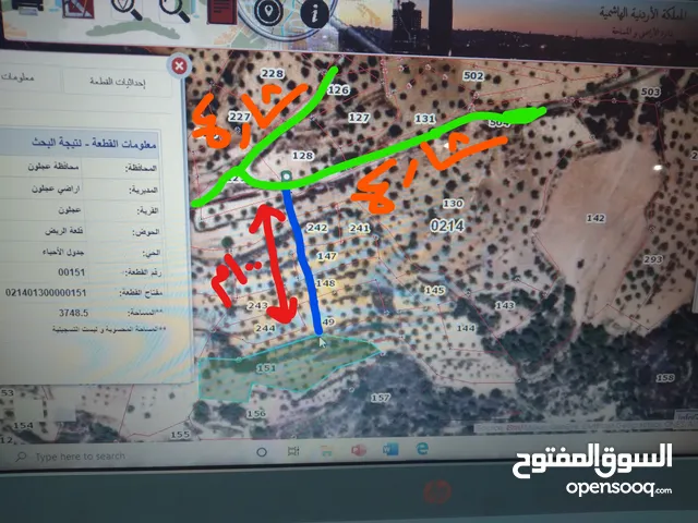 أرض جميلة جدا للبيع في عجلون (جبل القلعة- منطقة الميدان)مستوية و مشرفة ناجحة للاستثمار كمنتجع سياحي