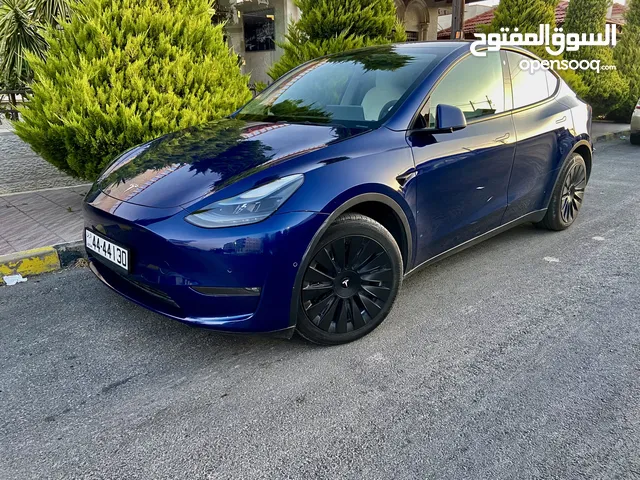 Tesla Model Y Dual Motor