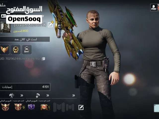 Accounts - Others Accounts and Characters for Sale in Northern Governorate