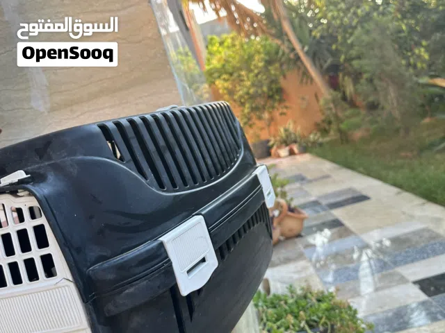 بيت للقطط و
