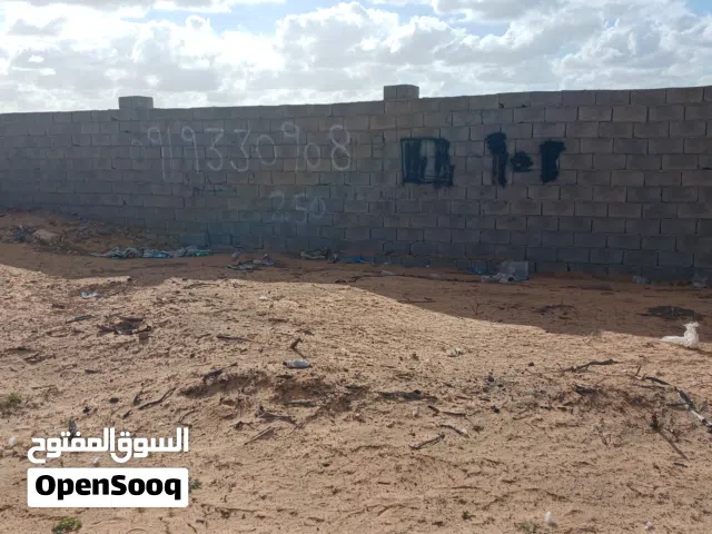 ارض فضاء للبيع وادي ربيع البازيد الجامع الاخضر
