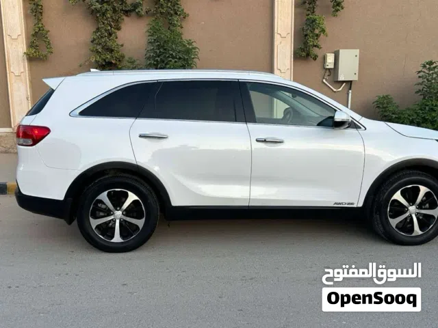 سيربنتو2019 أمريكية