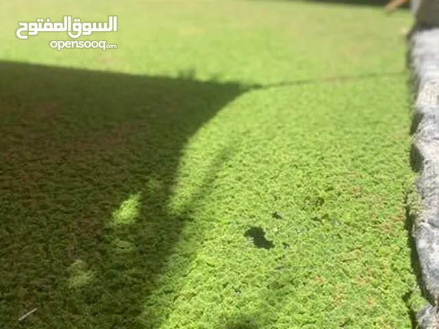 نبتته الازوله