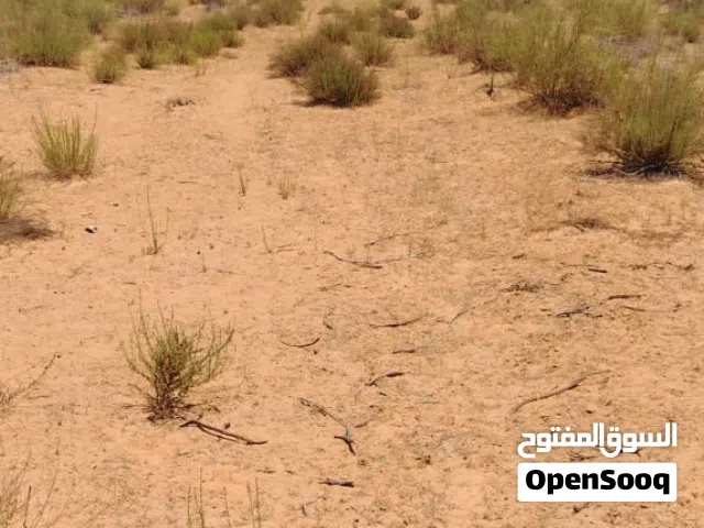 Farm Land for Sale in Tripoli Wadi Al-Rabi