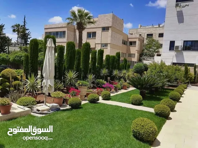 نجيل طبيعي للحدائق M5 - صنف وعرض مميز