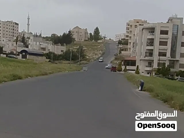 Residential Land for Sale in Amman Shafa Badran