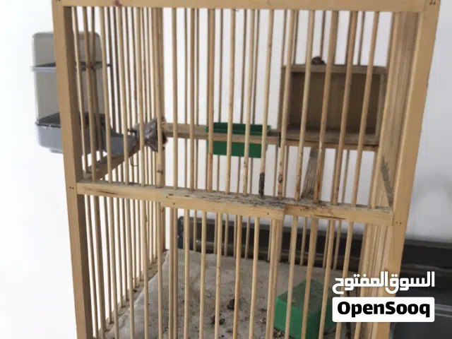 قفص خشب جديد